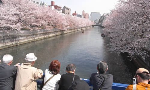 石島橋から東側を見渡すのが絶景ポイント