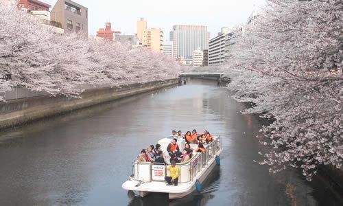 まつり期間中は動力船が毎日運航されます