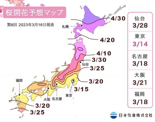 第8回 2023年桜開花予想マップ