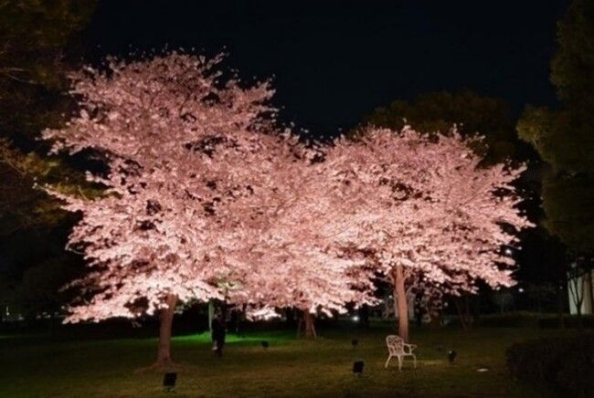 舎人公園　イベント