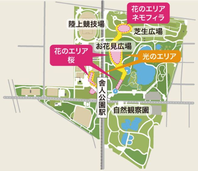 舎人公園　イベント会場