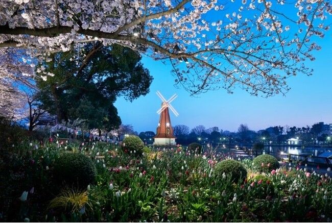 舎人公園　イベント