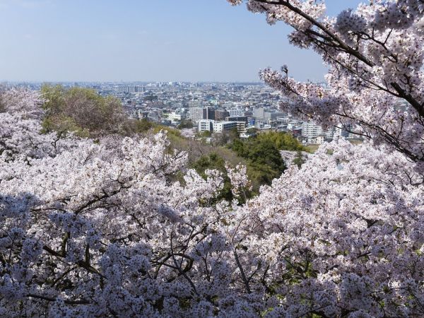 生田緑地2