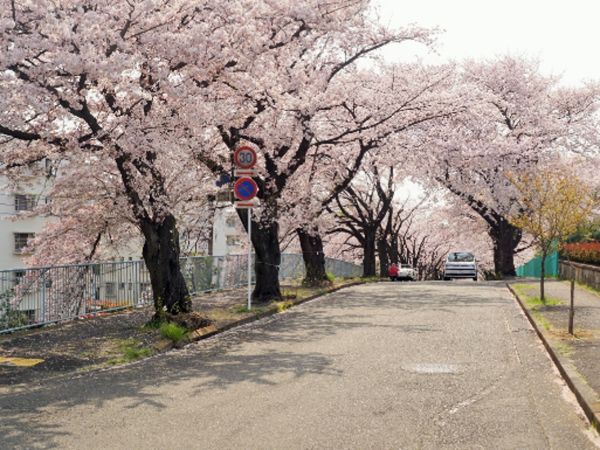 川崎市農業技術支援センター