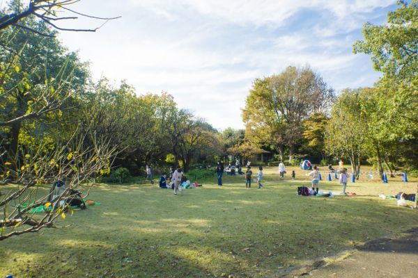 桜まつり（川崎市緑化センター）