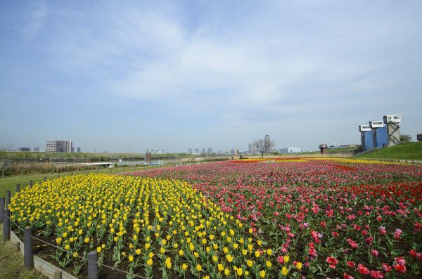 春の花まつりの様子