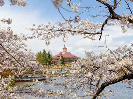 りんどう湖桜まつり昼間