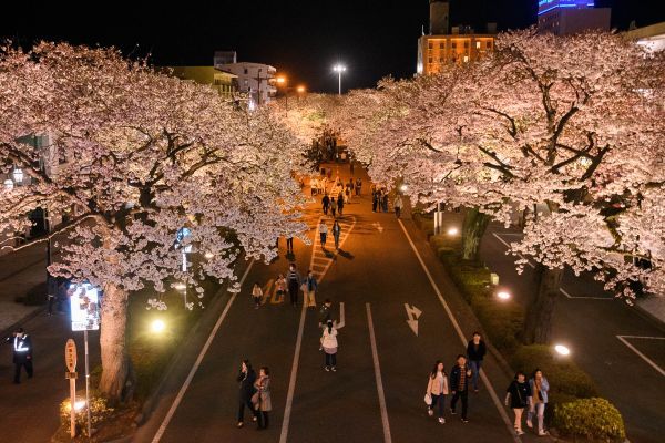 幻想的なライトアップ