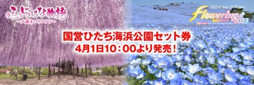 国営ひたち海浜公園セット券4月1日10:00より発売