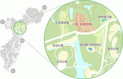 ルピナスがみられるエリア（公園・庭園樹園 こもれび花畑）