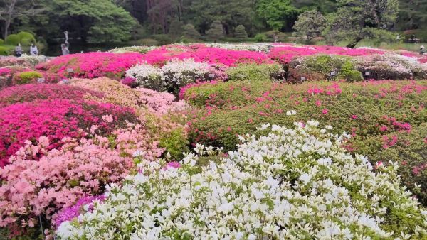 見晴らし台からの眺め（令和４年撮影）