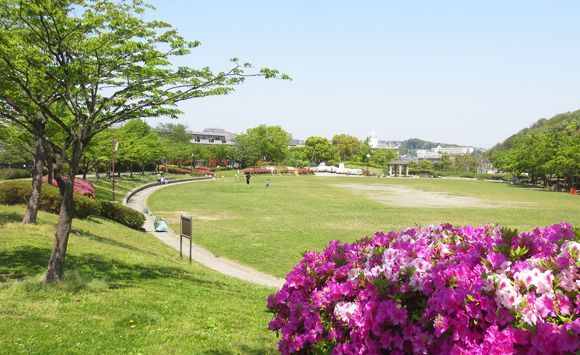 横浜市日野中央公園