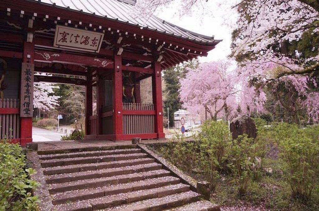 大雄山最乗寺の枝垂れ桜