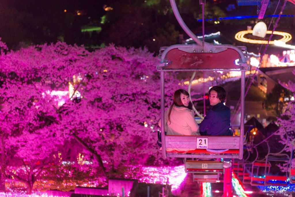 光と桜の競演“夜桜イルミリオン”イメージ2