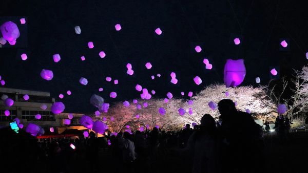おいも夜桜ランタンバルーンフェスティバル2024イメージ