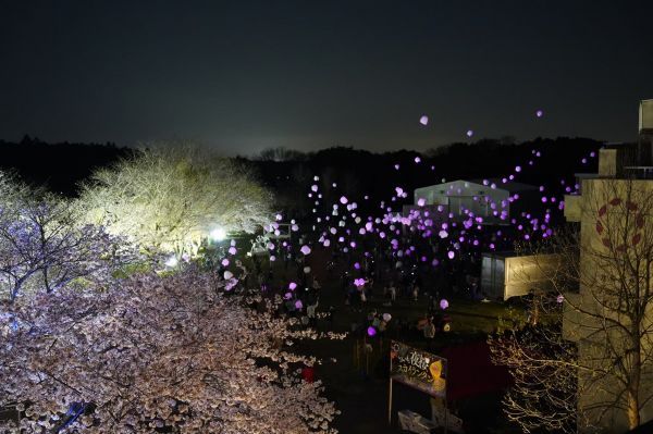 おいも夜桜ランタンバルーンフェスティバル2024イメージ2