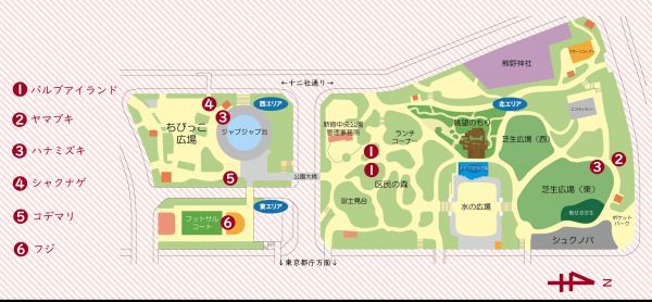 新宿中央公園お散歩マップ
