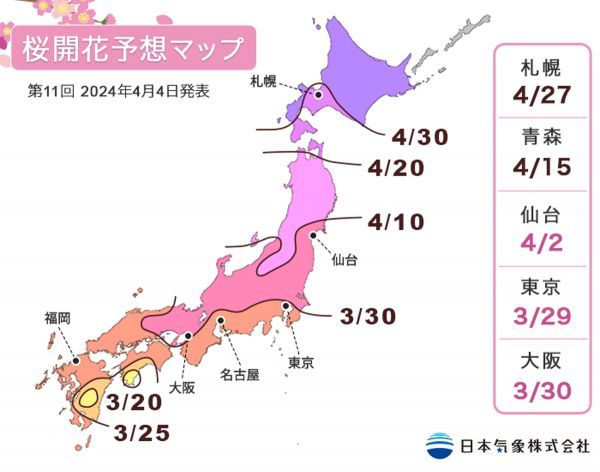 第11回 2024年桜開花予想マップ