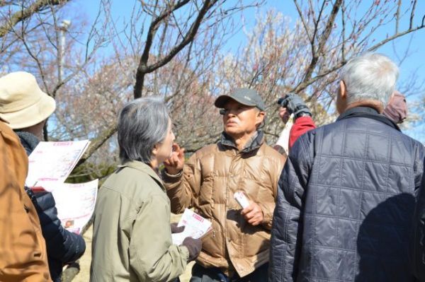 日本梅の会会長である大坪先生によるガイドツアー