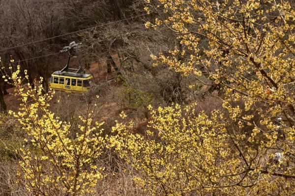 宝登山ロープウェイ　イメージ