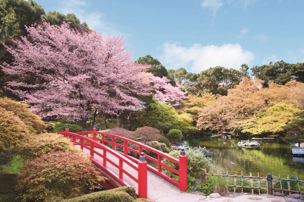 日本庭園