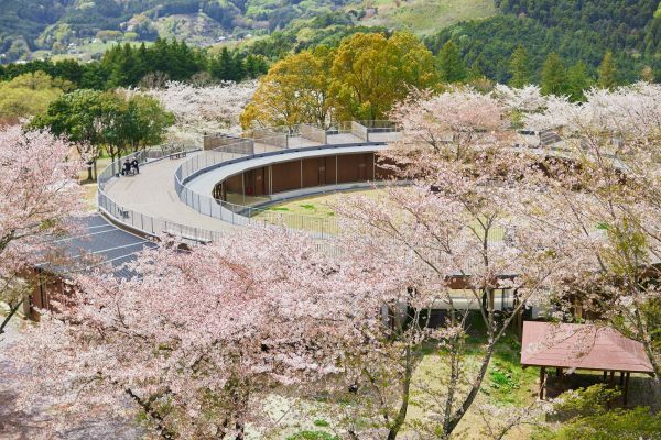 桜スタンプラリーイメージ