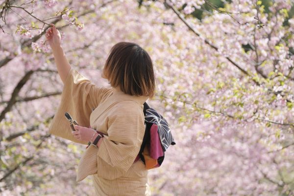 河津桜の花摘み＆ブーケづくりイメージ