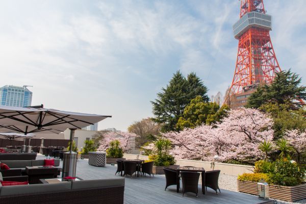 桜と東京タワーの絶景　カフェ&バー タワービューテラス