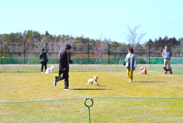 特設ドッグラン