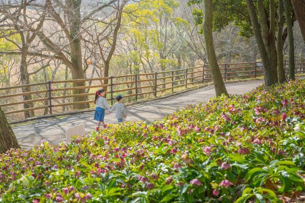 国営讃岐まんのう公園