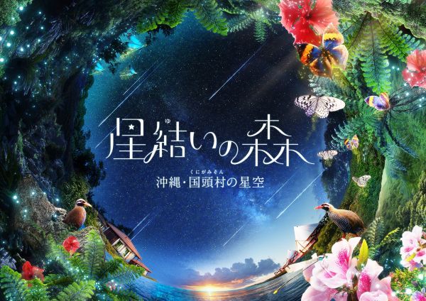 星結いの森-沖縄・国頭村の星空-イメージ