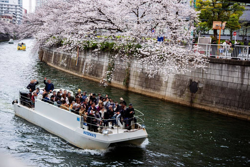 目黒川お花見クルーズ2