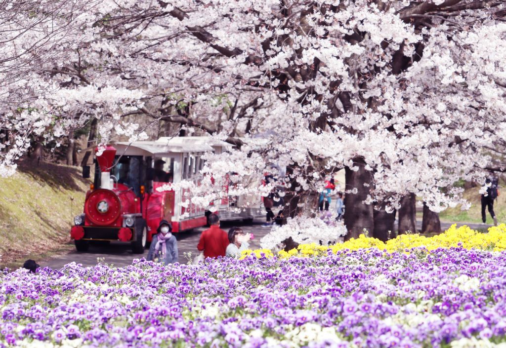 とっとり花回廊