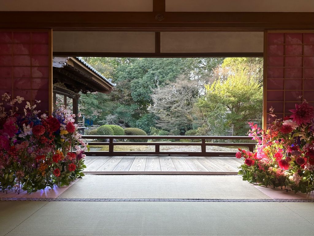 そうだ 京都、行こう。隨心院「花の間」