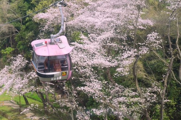 ゴンドラ　スカイシャトル  ※昨年の様子