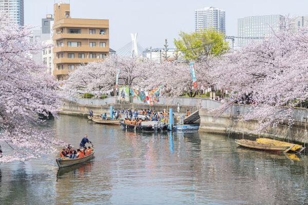 船の上から眺めるのが江戸の花見の贅沢