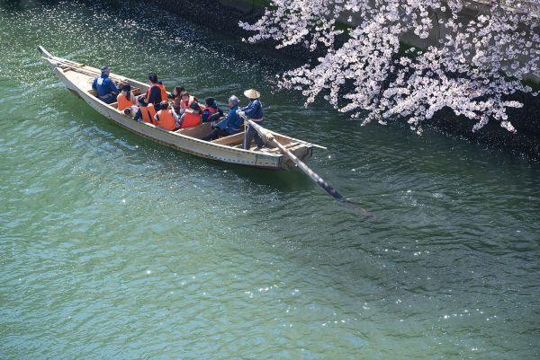 江東区和船友の会により動力を使わず昔ながらの100％櫓（ろ）漕ぎでの遊覧を楽しむ