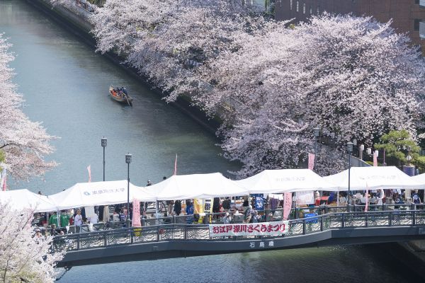 約1.3キロ以上、両岸約270本の桜並木を眺めるメイン会場となる石島橋