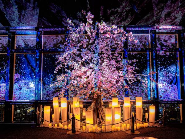 TOKYO TOWER CITY LIGHT FANTASIA - Spring Concerto 2025 -