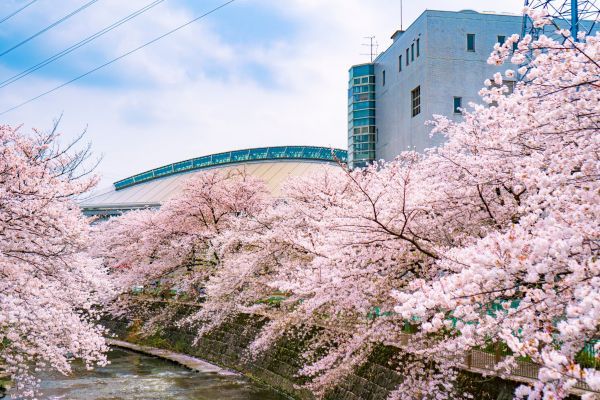 市立総合体育館裏