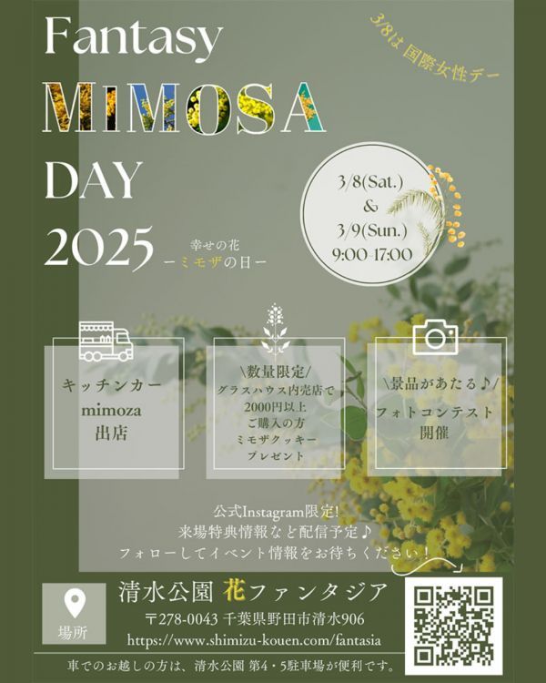 Fantasy Mimosa Day2025