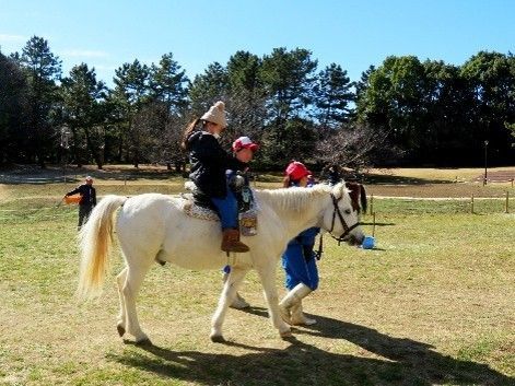 ポニー乗馬体験コーナー(過去の様子)