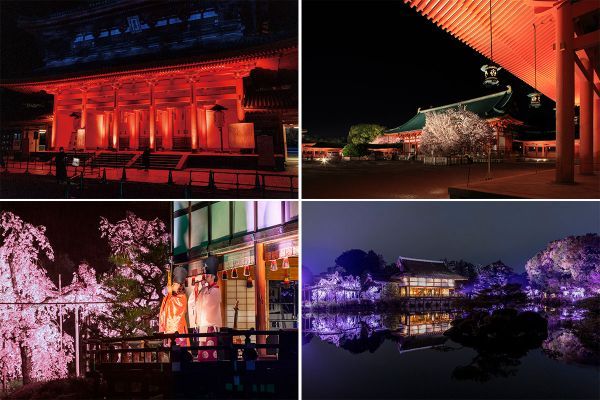 平安神宮 桜音夜2026イメージ