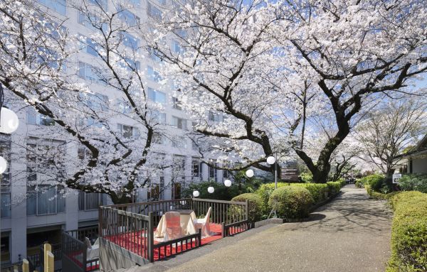 桜天井の特等席でコースを楽しむ