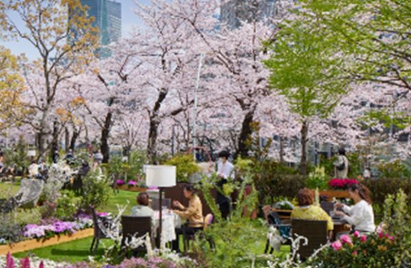 ROKU 〈六〉 MIDTOWN BLOSSOM LOUNGE