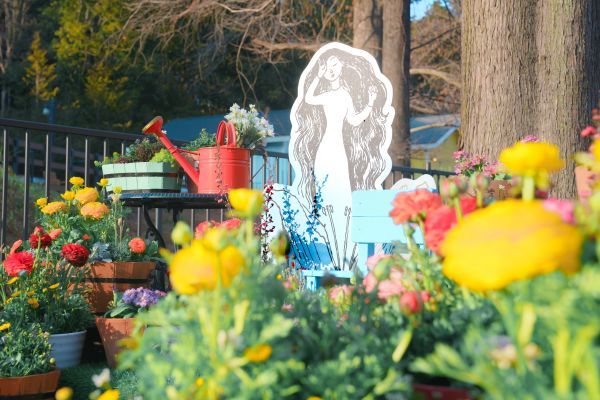 チューリッパのテラスイメージ