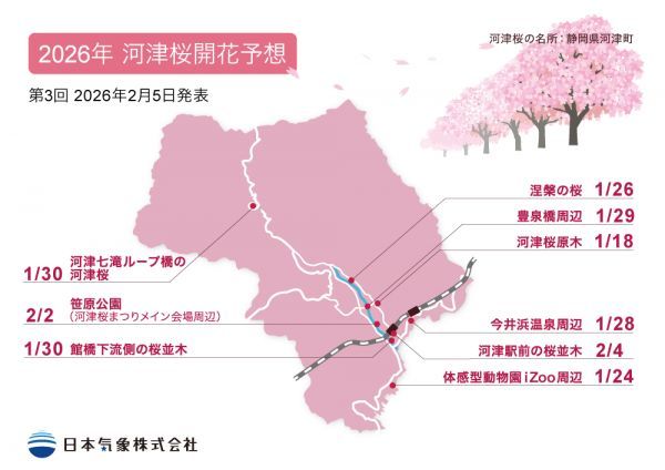 第3回 伊豆・河津桜開花予想