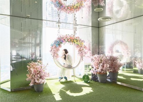 てんぼうパーク　さくらまつり３