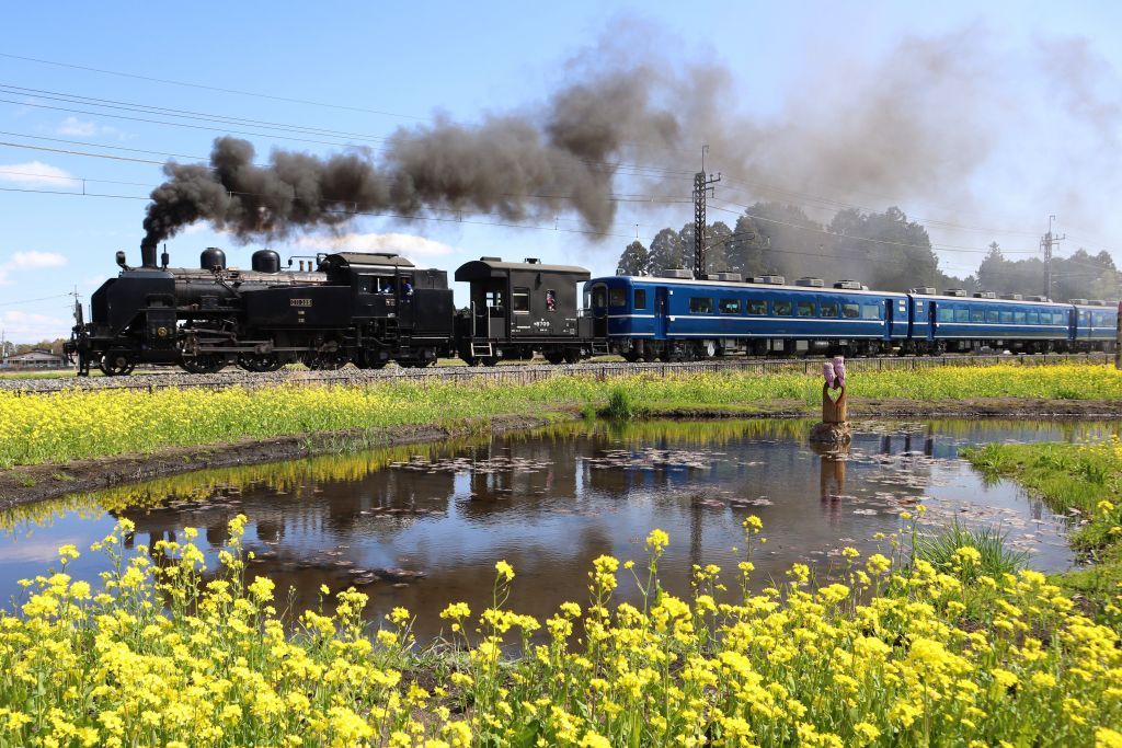 東武鉄道・SL大樹 倉ケ崎SL花畑
