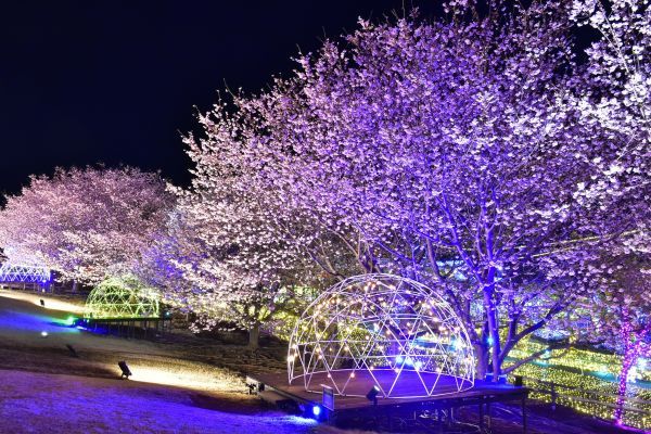 昨年(2025年)撮影 伊豆ぐらんぱる公園にて